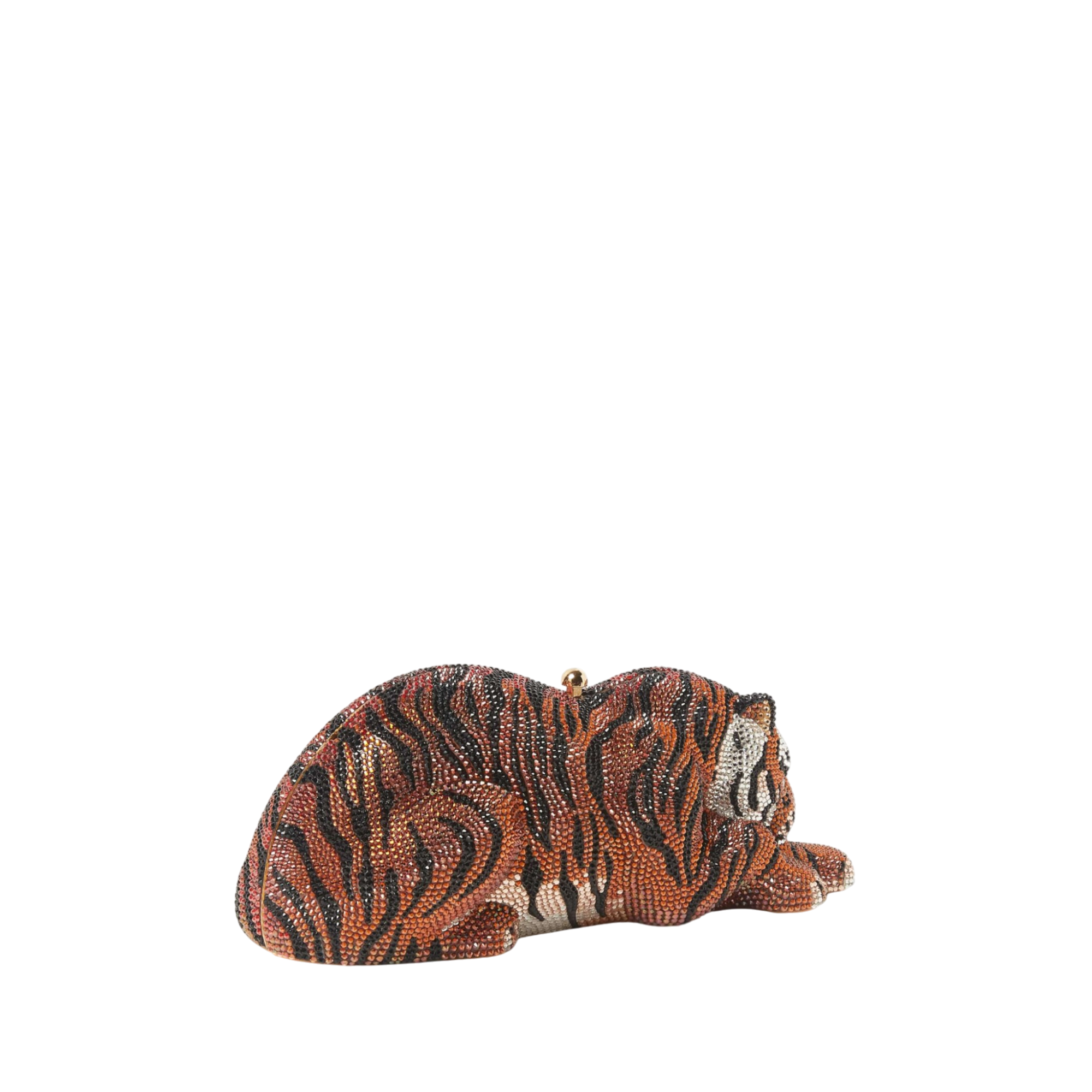 Wildcat Shere Khan