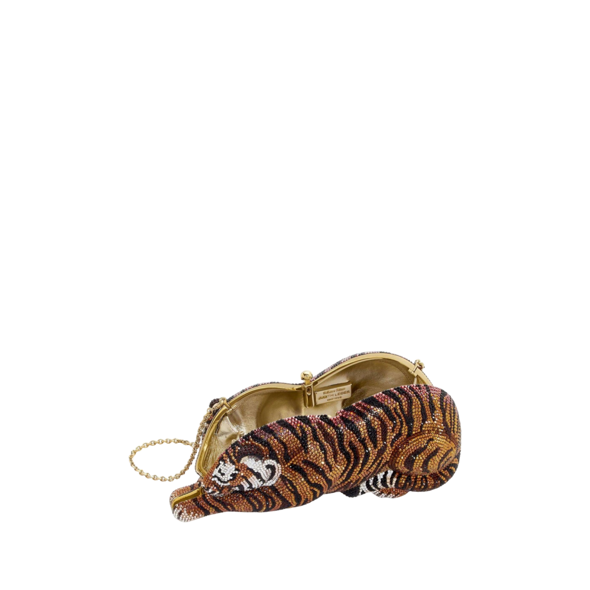 Wildcat Shere Khan