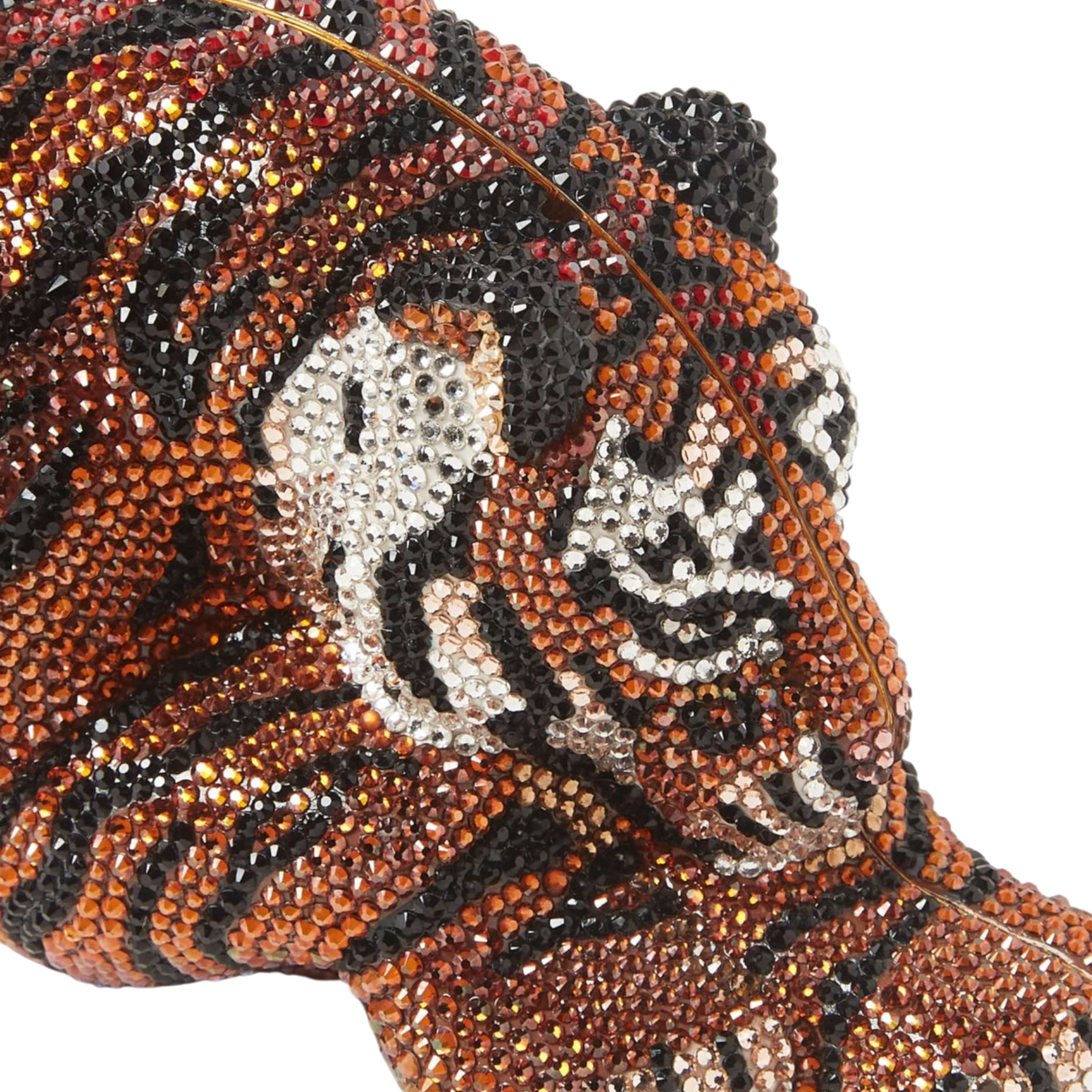 Wildcat Shere Khan