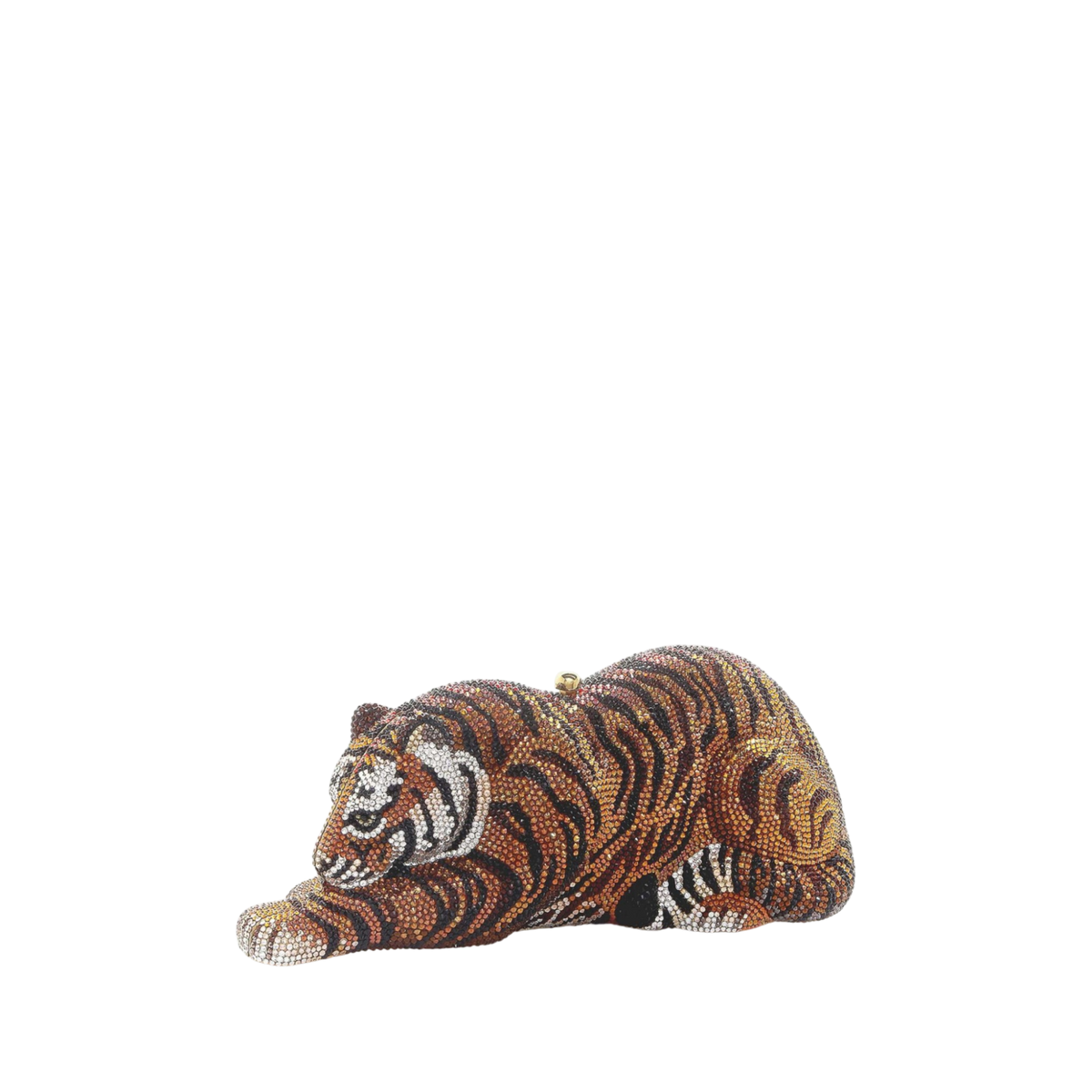 Wildcat Shere Khan
