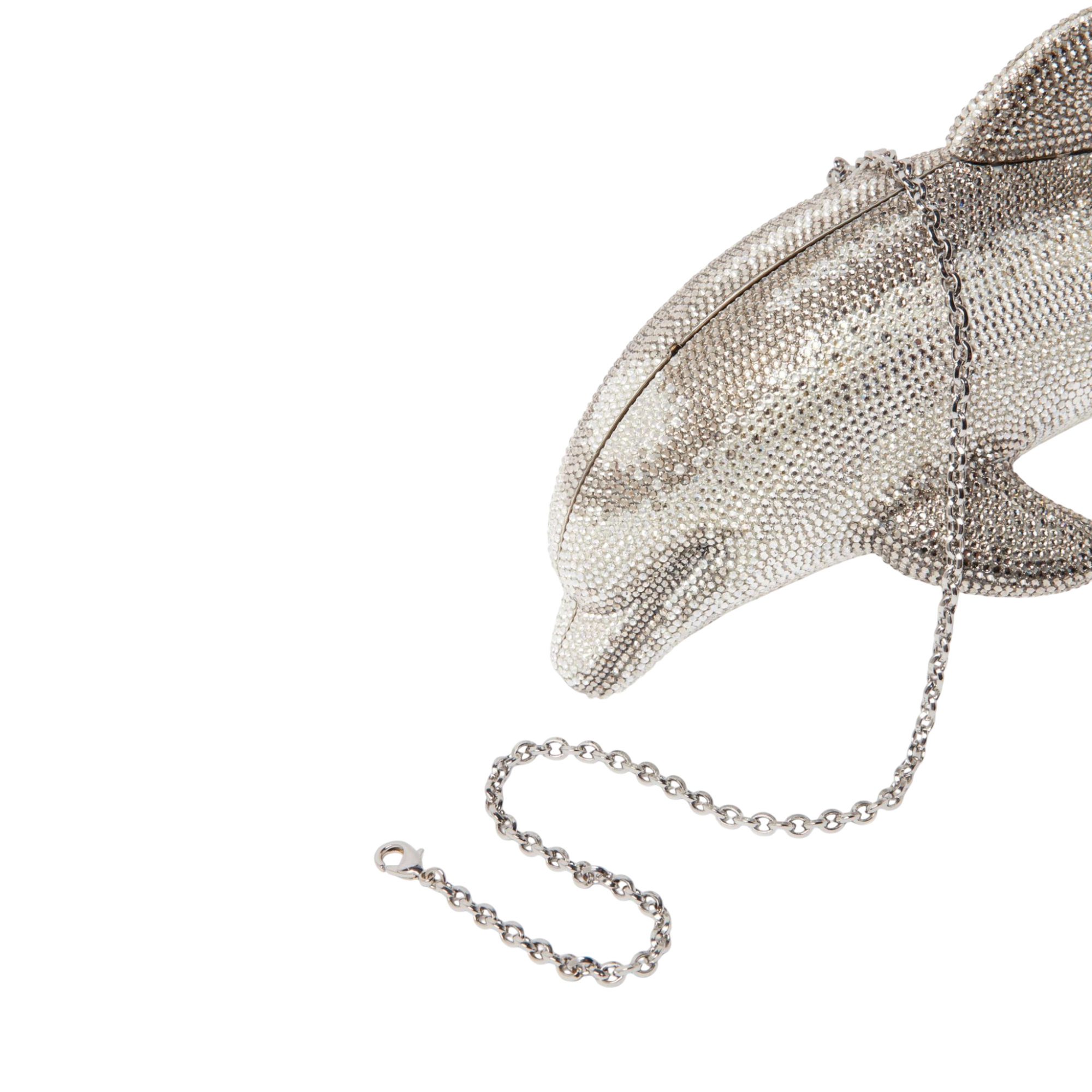 Dolphin Phin