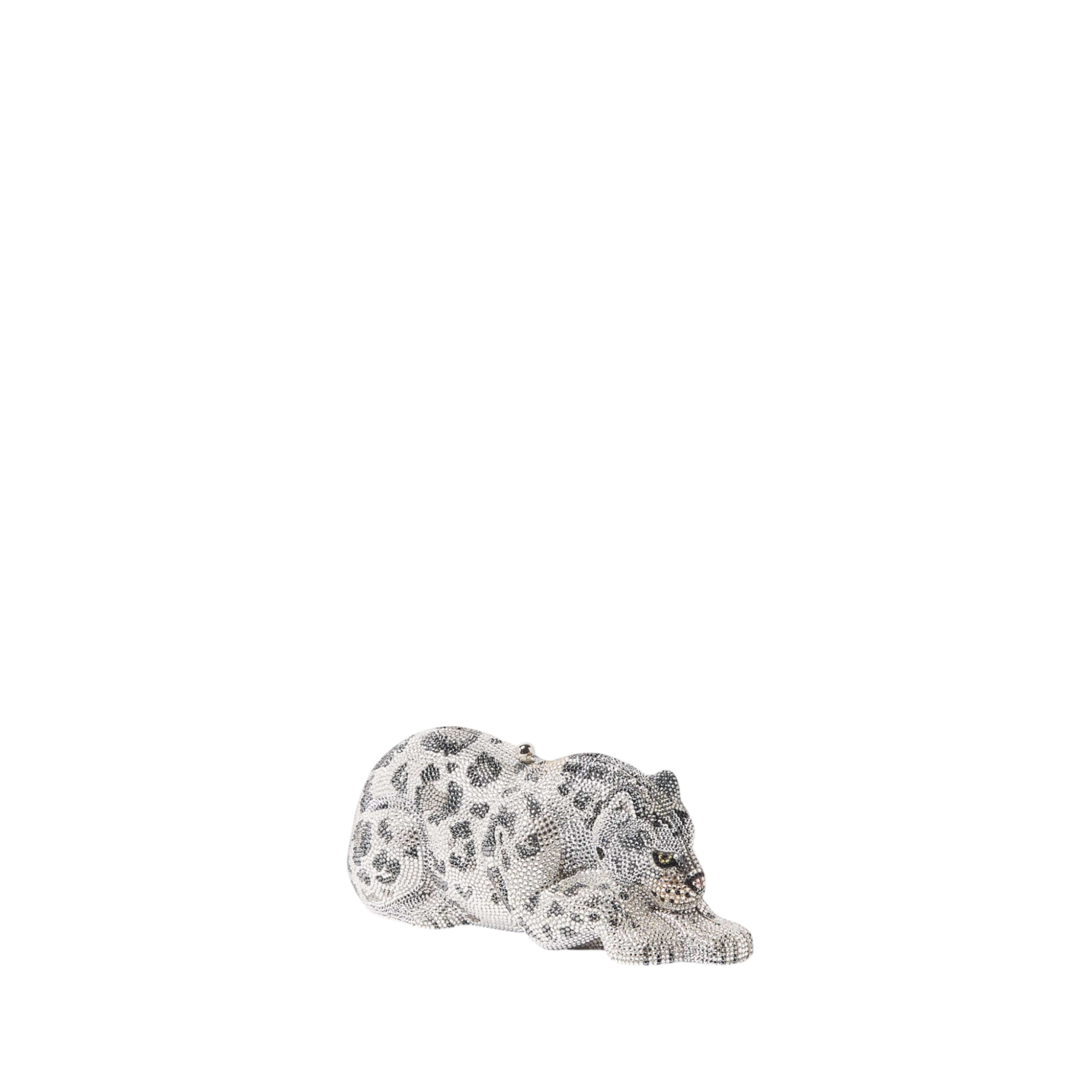 Wildcat Snow Leopard