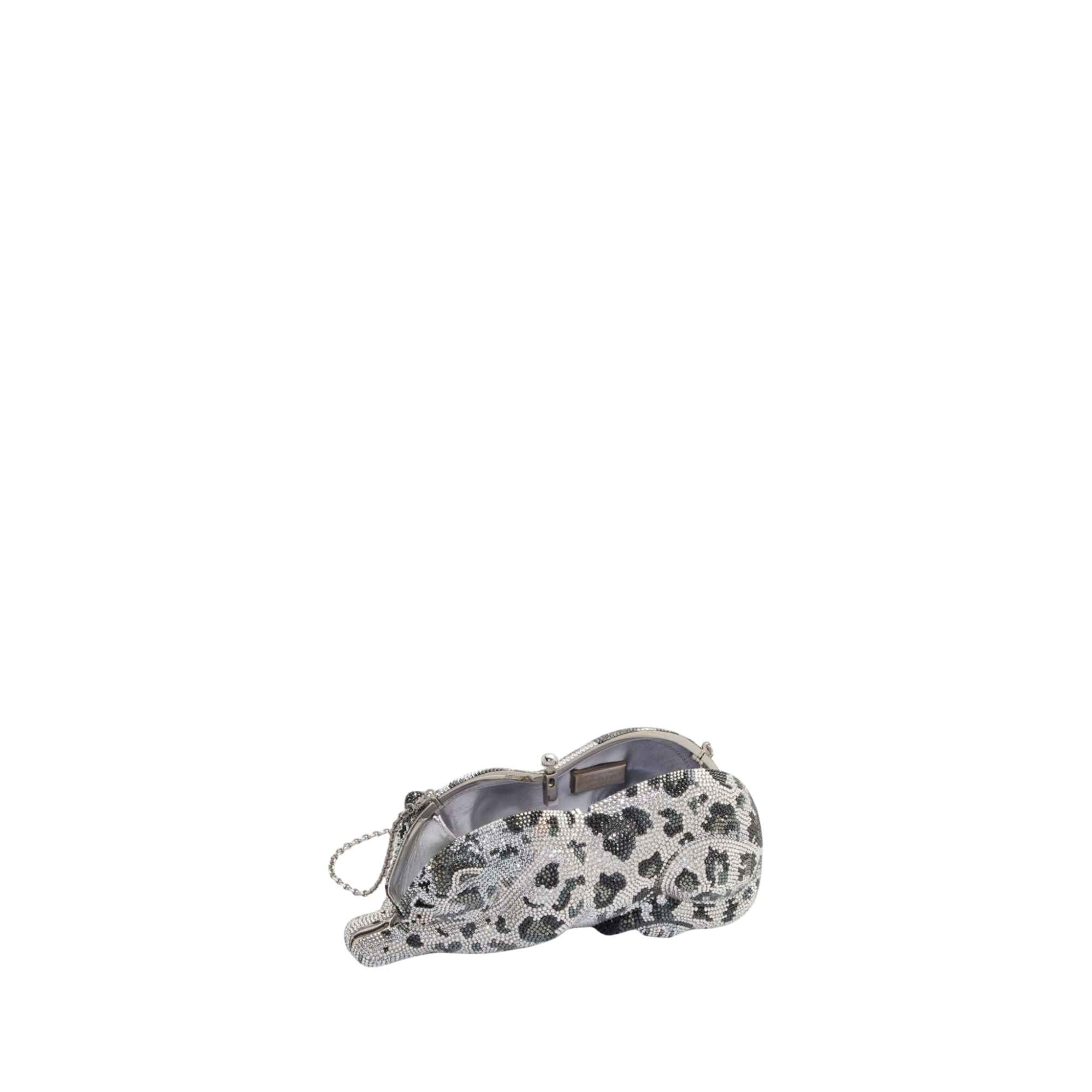 Wildcat Snow Leopard