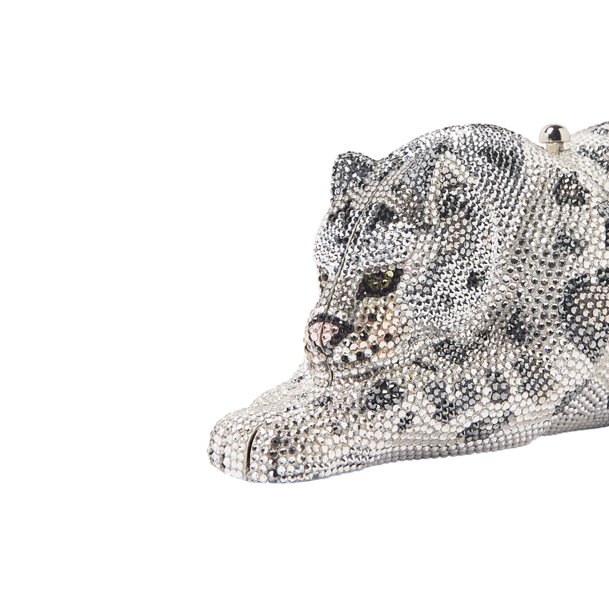 Wildcat Snow Leopard