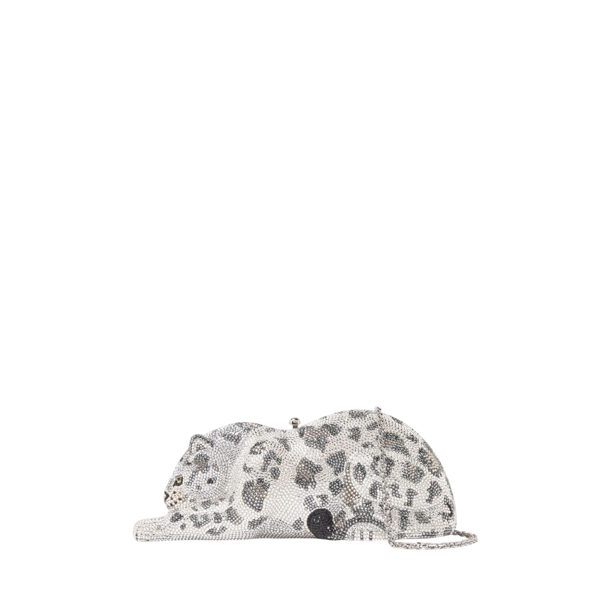 Wildcat Snow Leopard