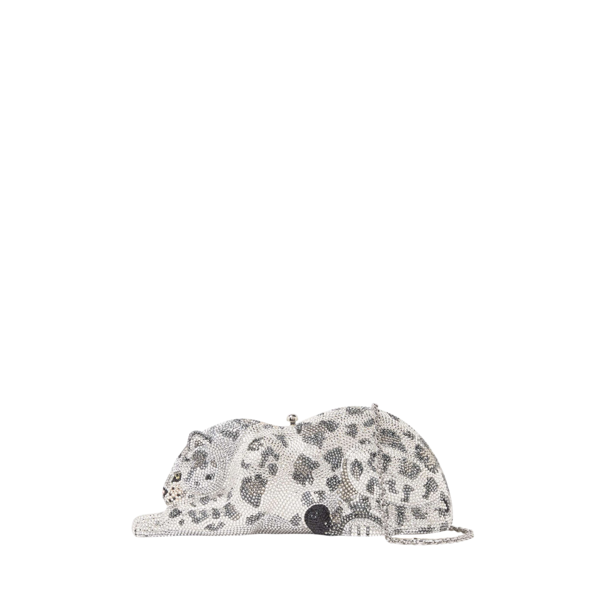 Wildcat Snow Leopard