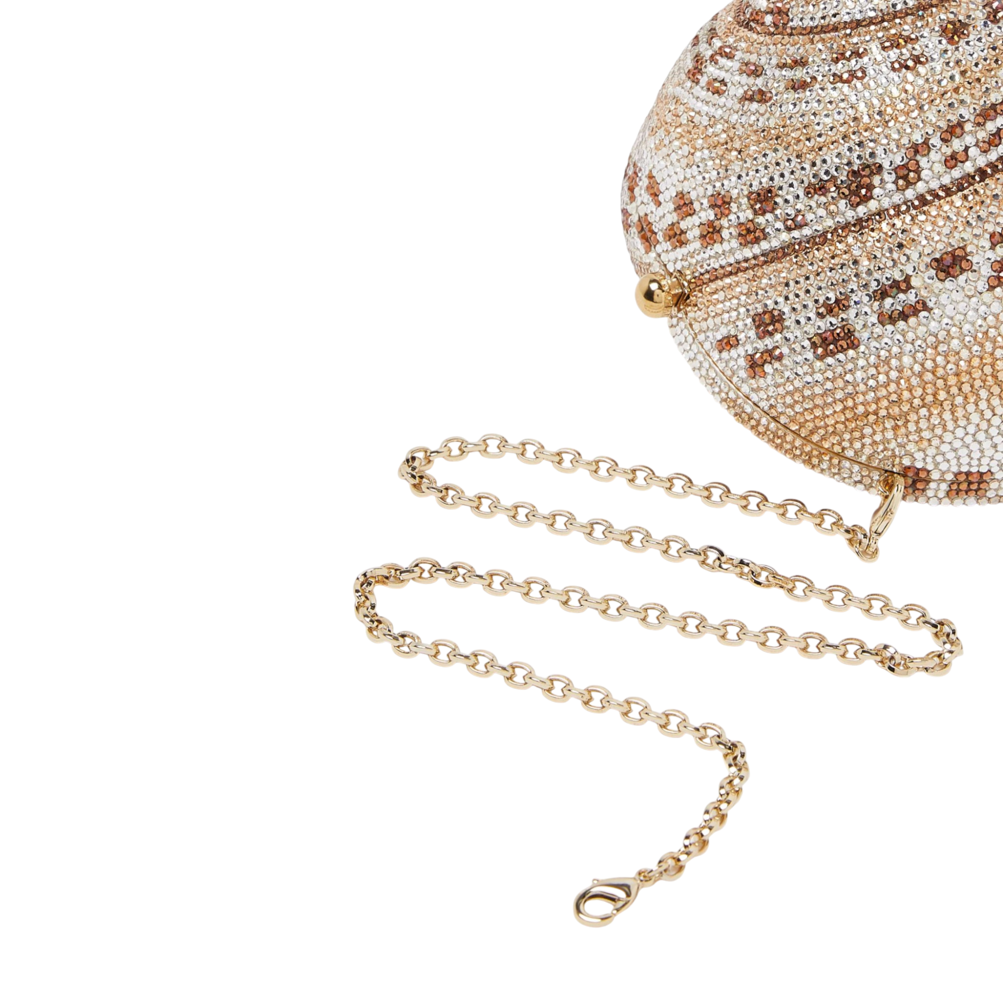 Snail Shell Calico