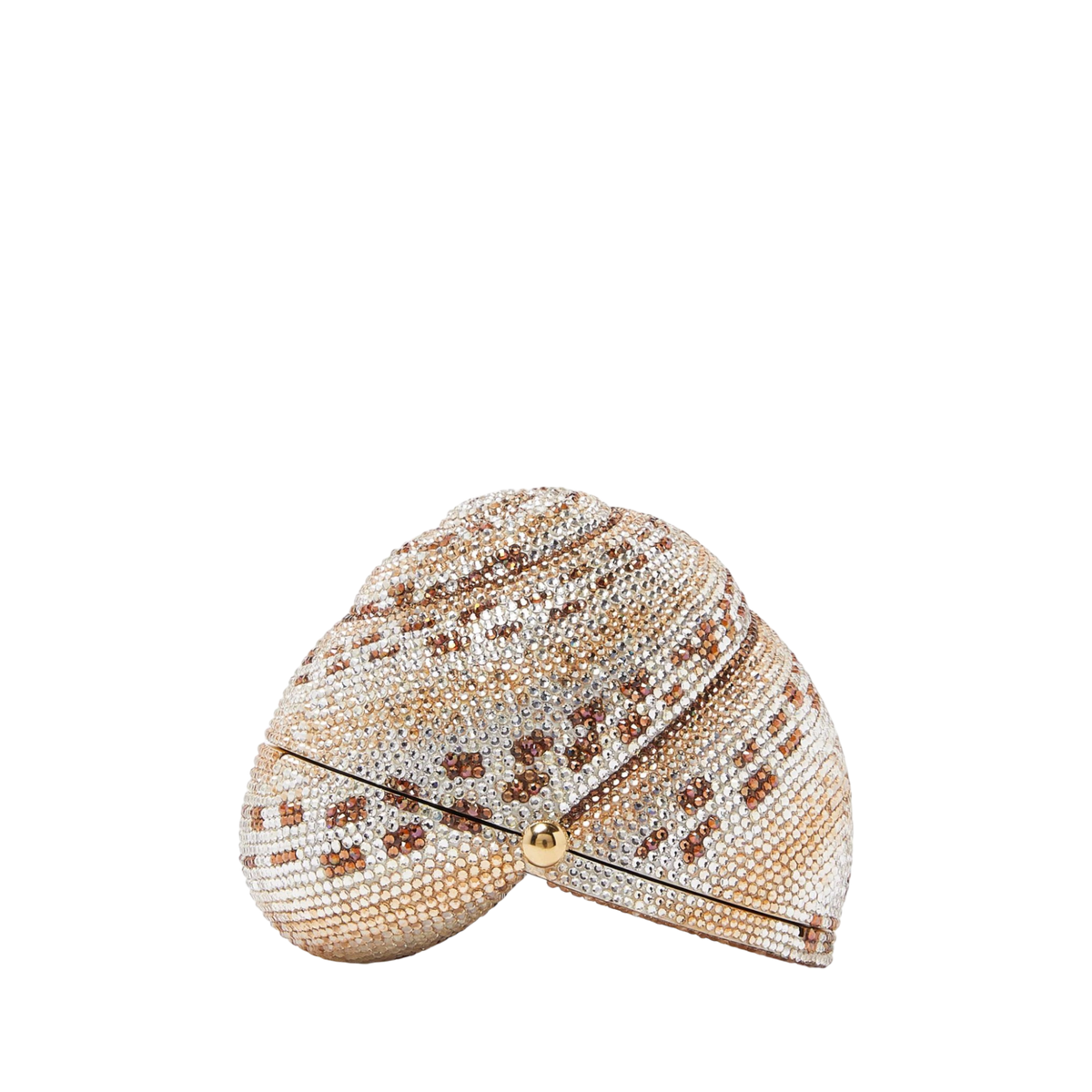 Snail Shell Calico