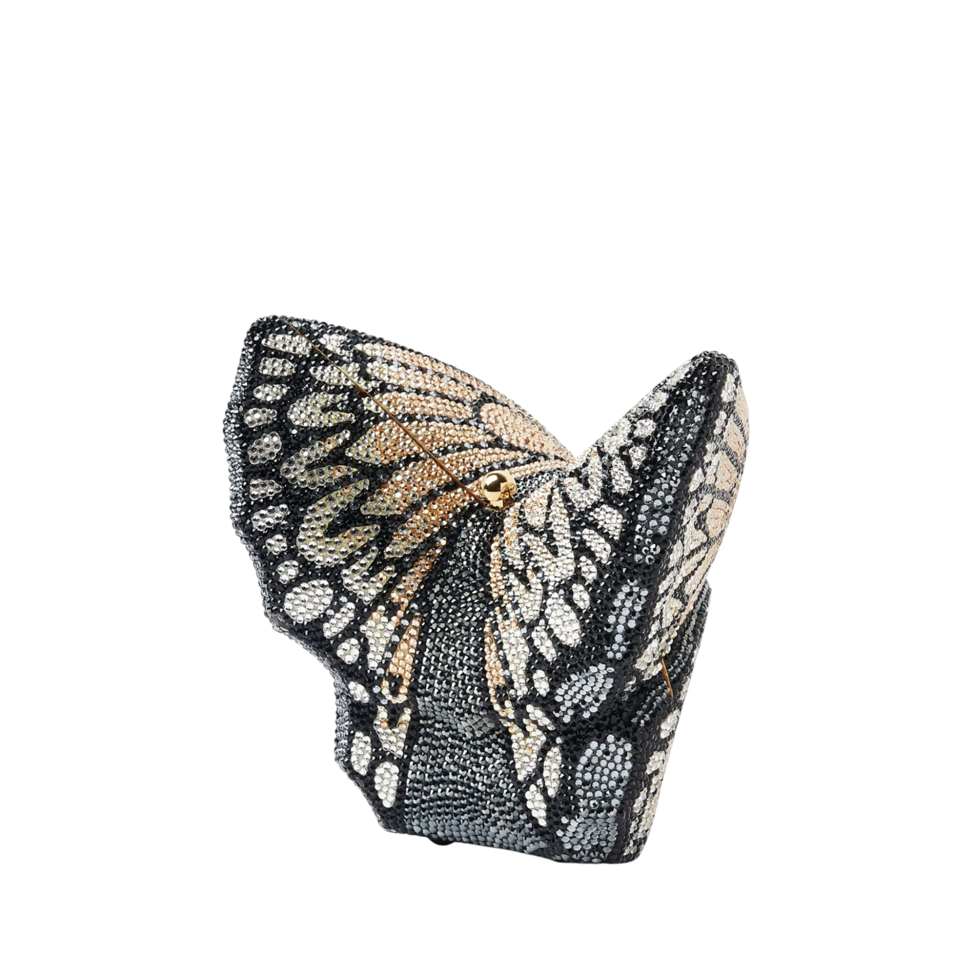 Butterfly Monarch
