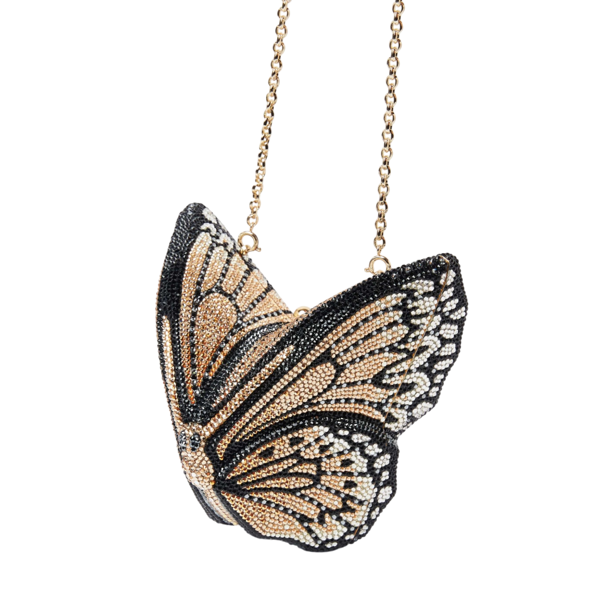 Butterfly Monarch