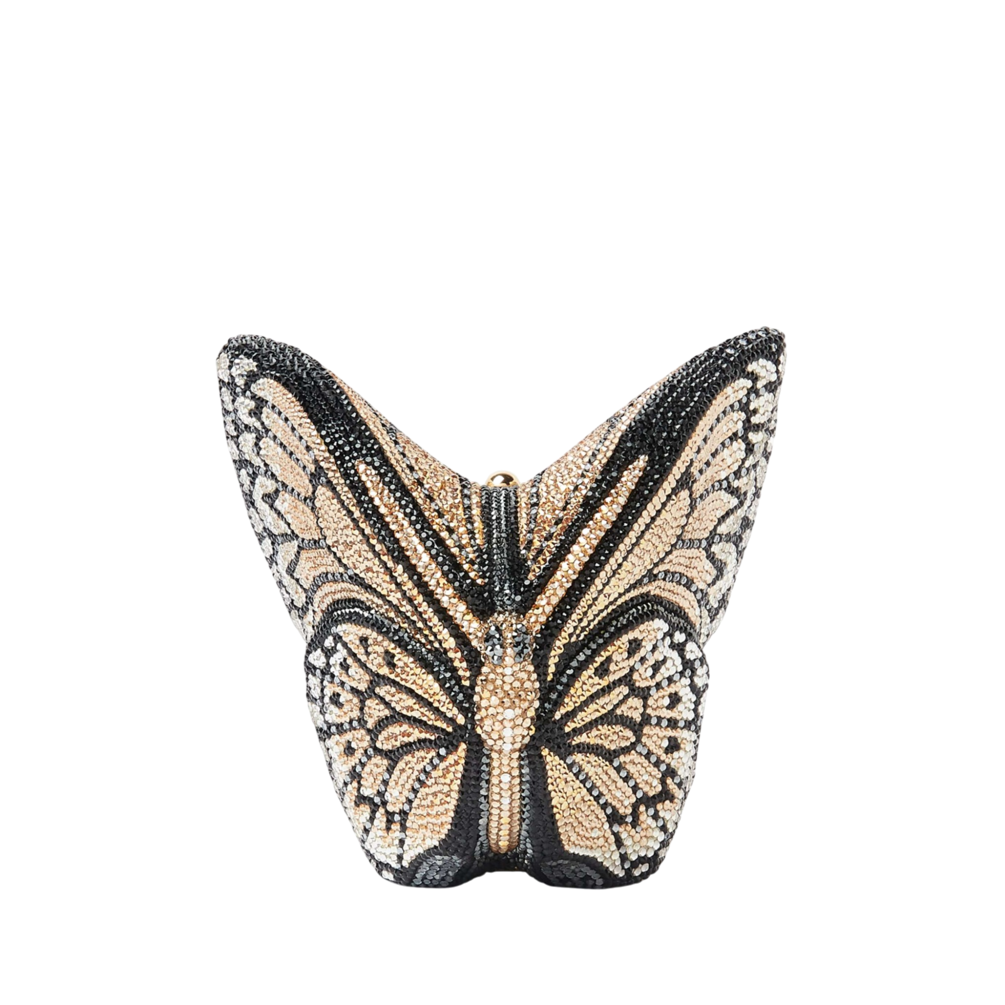 Butterfly Monarch