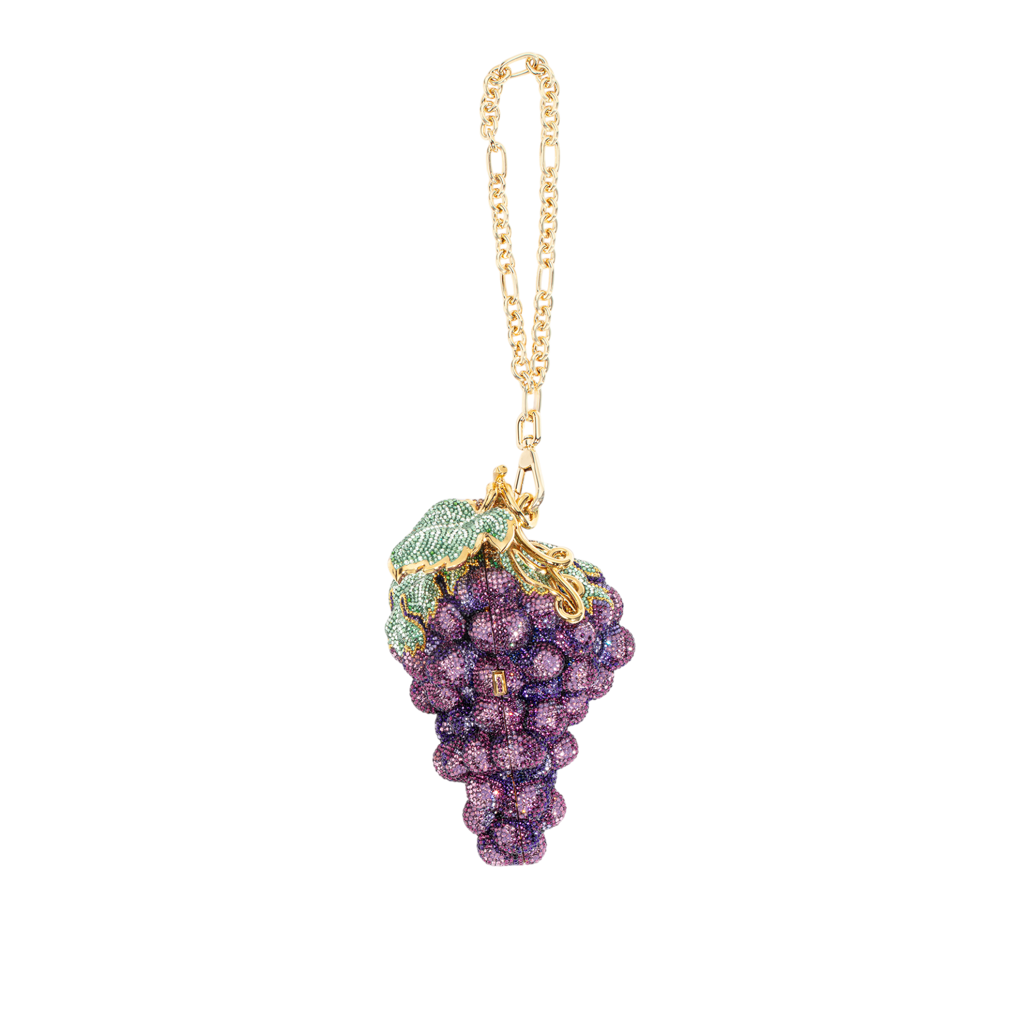 Grapes Concord Minaudière